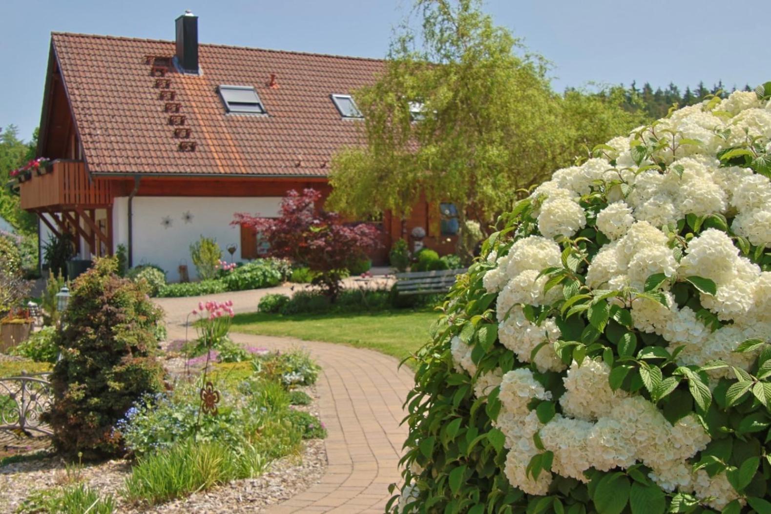 Heumann_s Blockhaeuser am Wald Hotell Pottenstein Exteriör bild