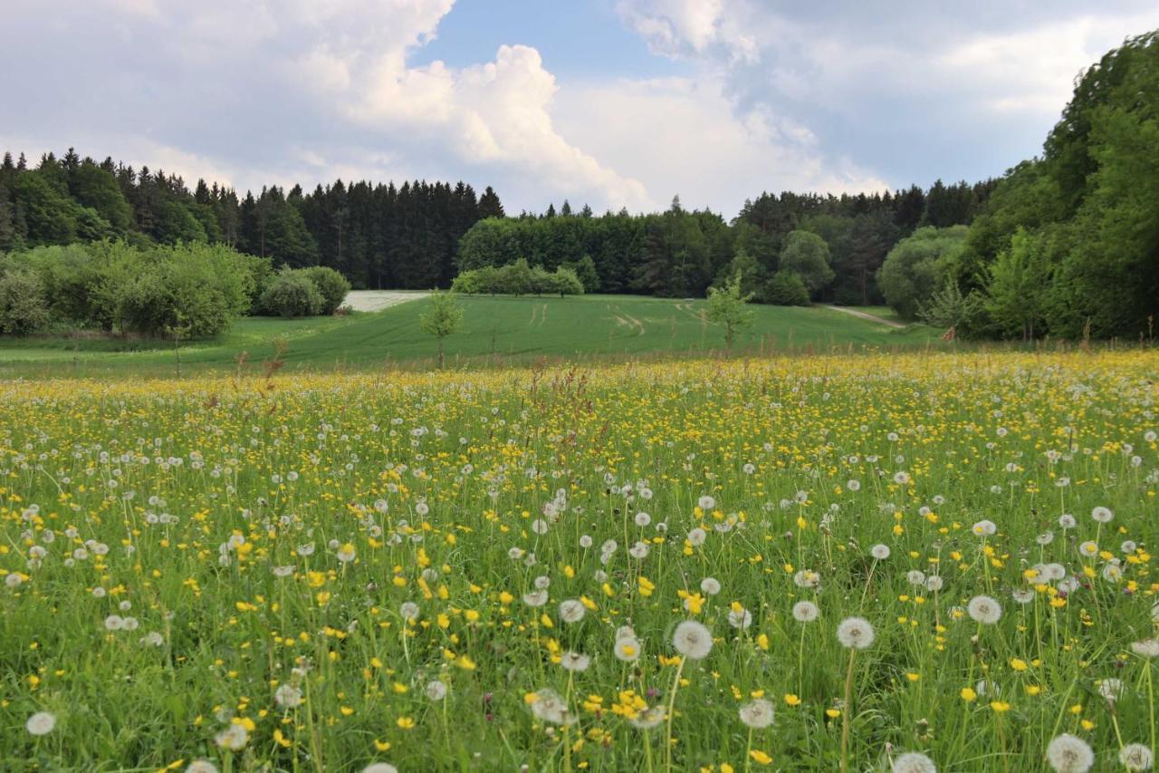 Heumann_s Blockhaeuser am Wald Hotell Pottenstein Exteriör bild